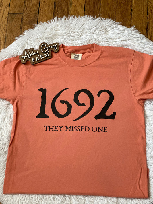 1692 THEY MISSED ONE … Comfort Colors - Garment-Dyed Heavyweight T-Shirt