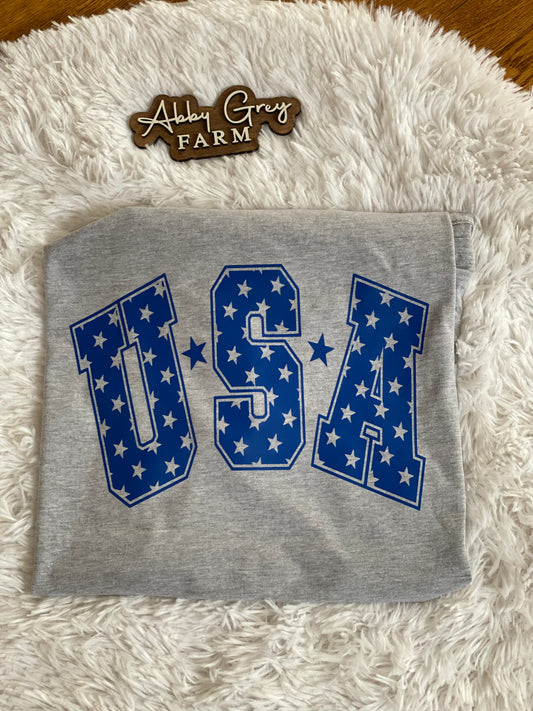 Gray/Blue USA Graphic Tee