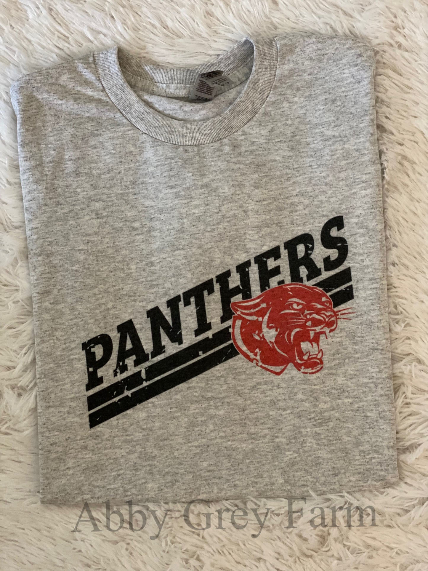 Panthers Graphic Tee 🐾
